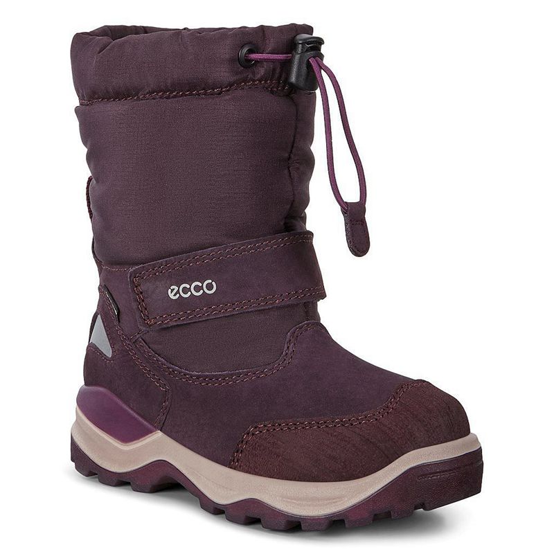 Kids Ecco Snow Mountain - Snow Boots Purple - India TNXJKB415